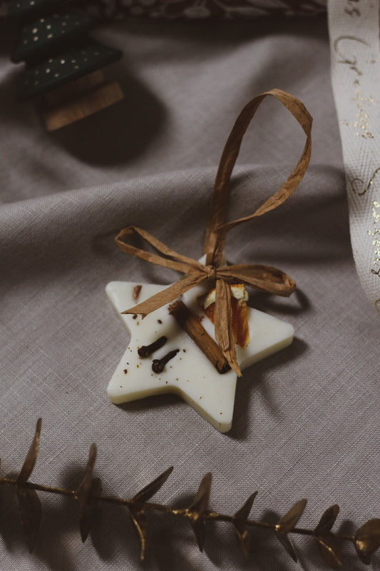 Christmas Scented Tree Decoration: Star - Spiced Oranges Christmas Decorations House of Pyaar