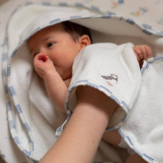 Hooded Towel - Baby - Coastline Towelling Avery Row Wholesale