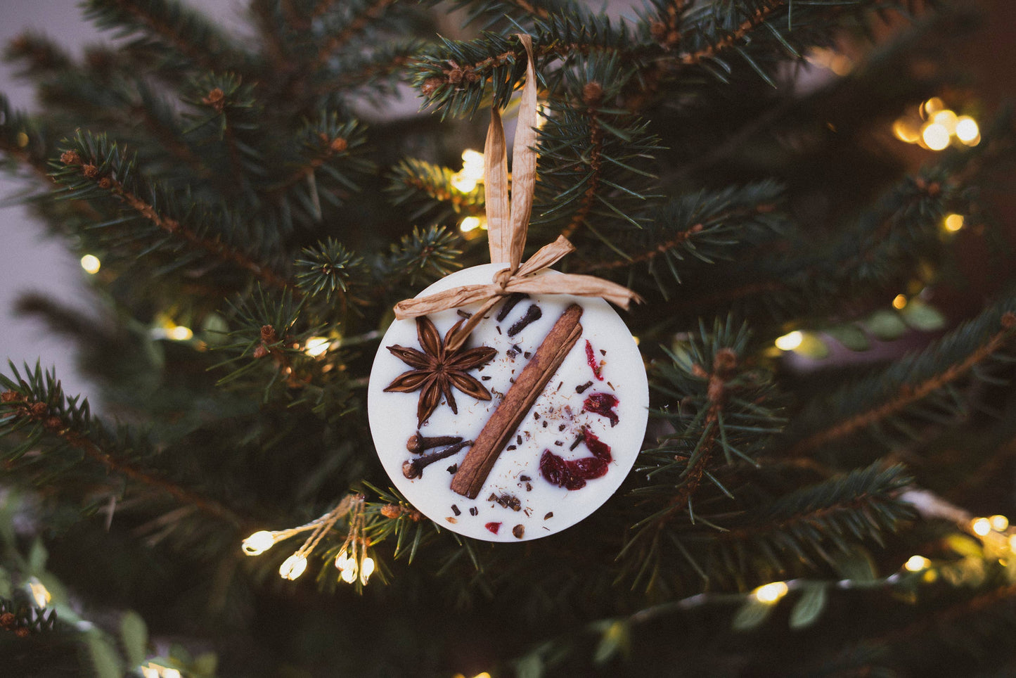 Christmas Scented Tree Decorations: Circle / Cranberry Orange and Cinnamon Bobella Co.