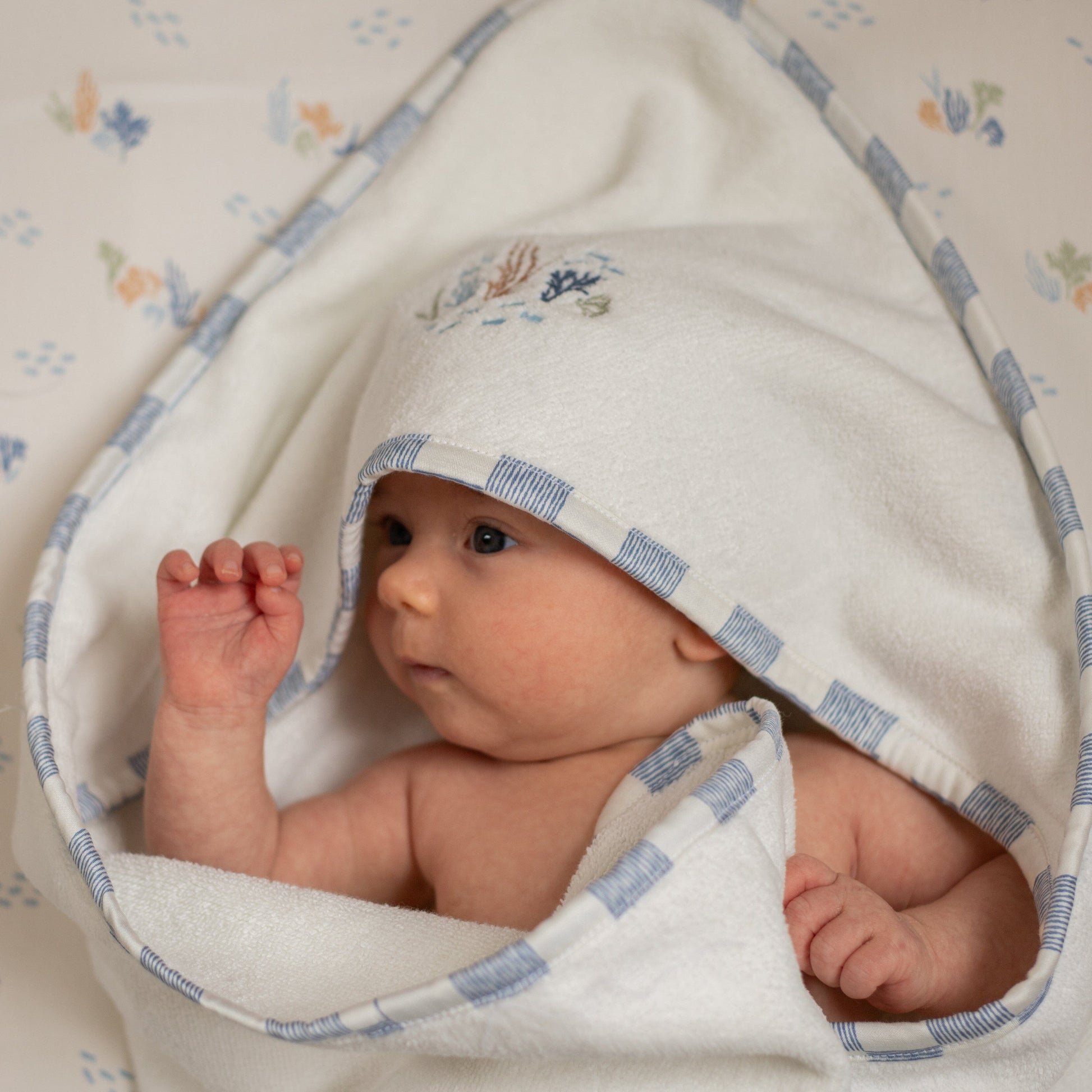 Hooded Towel - Baby - Coastline Towelling Avery Row Wholesale 