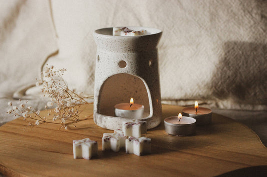 Black Fig & Vetiver Soy Wax Melts Bobella Co. 