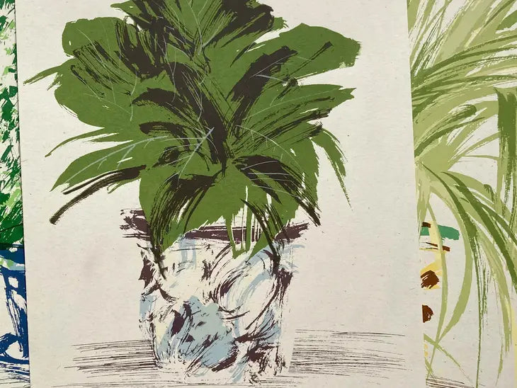 Handmade Silkscreen Botanical Art Print - House Plant ‘Garden Croton’ Wall Art Ben Rogers 