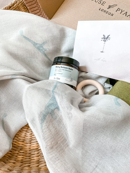 New Baby Gift Set - Dinosaur - Teal New Baby Gift Set House of Pyaar 
