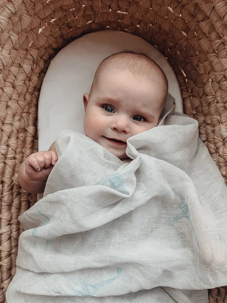 Summer Swaddle - Dippy the Diplodocus Teal Swaddle Janemade 